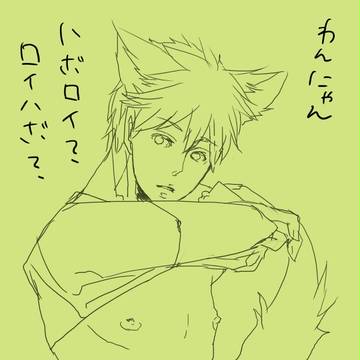 【腐向け】わんにゃんハボロイはぼ