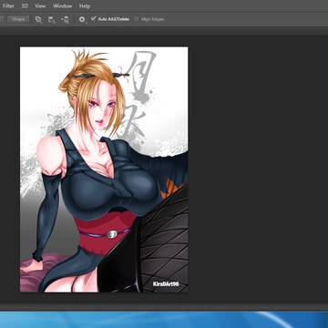 WIP 1 : Tsukuyo-san .,!!!