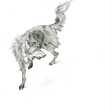 singing dog