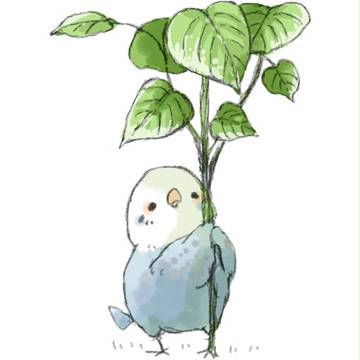 おおきくなった！