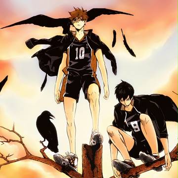 Crows