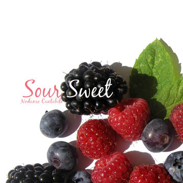 【C88新刊】SourSweet　サンプル