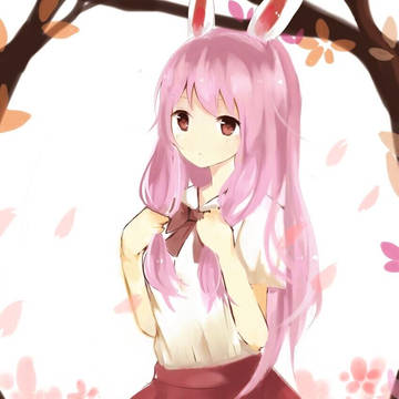 大兔子O(∩▽∩)O~