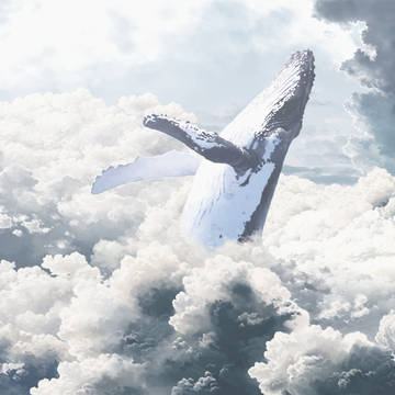 Sky Breacher