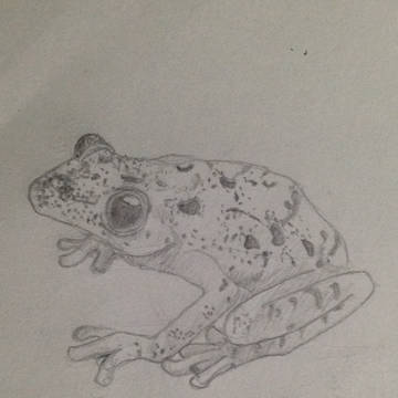 ひまつぶし