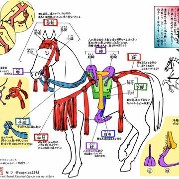 日本の馬装について