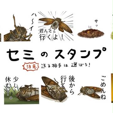 セミのスタンプ