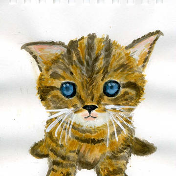 子猫