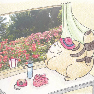 たそがれている猫