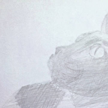 貓
