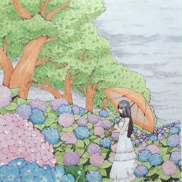 紫陽花