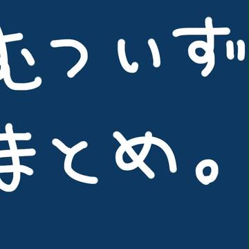 むついずまとめ