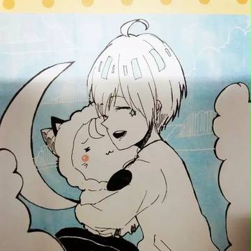 献