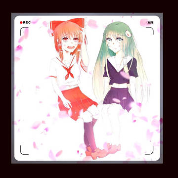 QWQ？