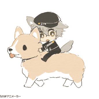 ぽよぽよわんこ