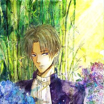 紫陽花 長谷部