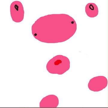 スカポン(ジョイメカファイト)