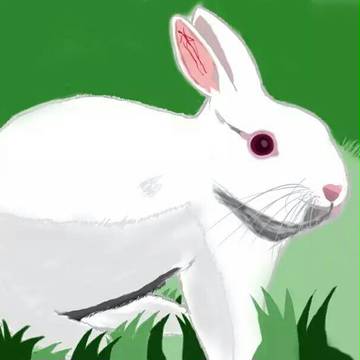 ウサギ