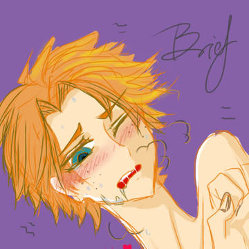 Brief