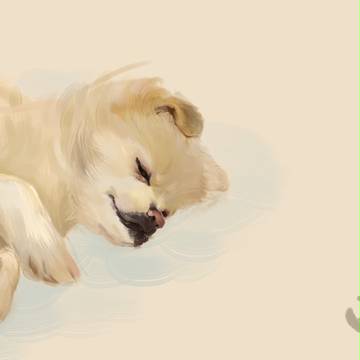 犬Mr.Bean