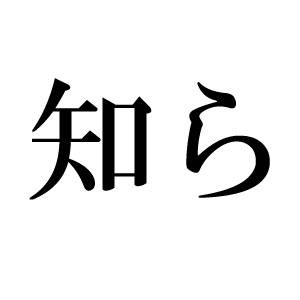 盗作被害について