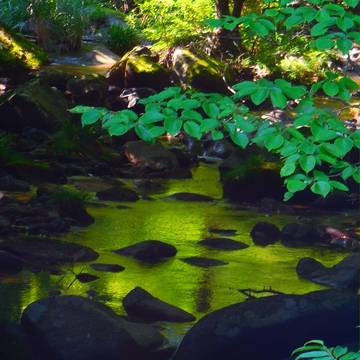 【写真】早朝のエメラルド