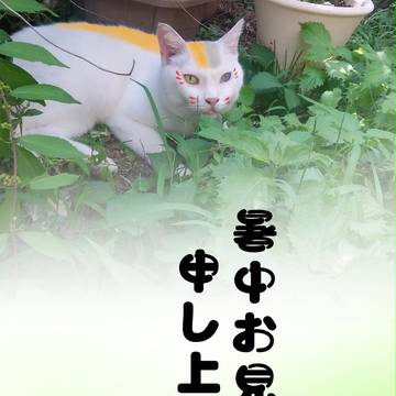 暑中見舞い
