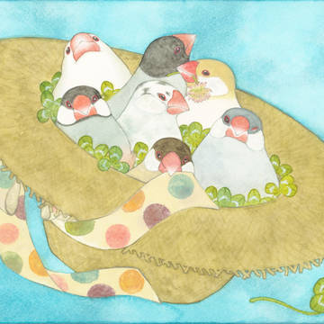 「文鳥わらわら帽子」