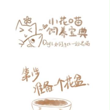 【Glorfindel】小花喵饲养宝典