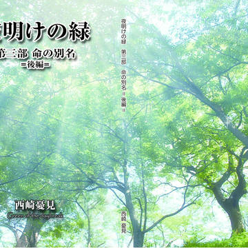 【C88新刊】配布物表紙