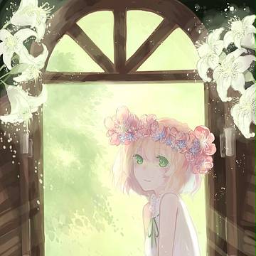 Window
