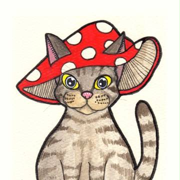 きのこ猫