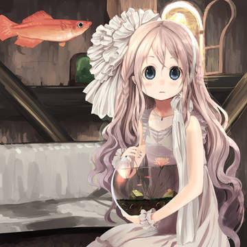 睡蓮鉢