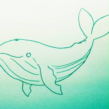 落書きシロナガス