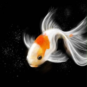 金魚