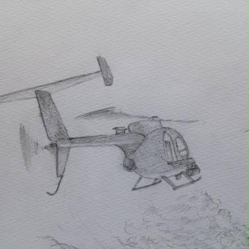 リトルバード