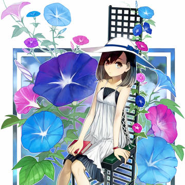 朝顔