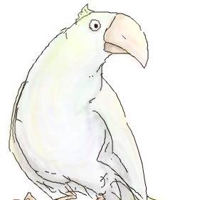 おトリ捜査