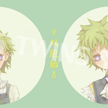 兔与熊
