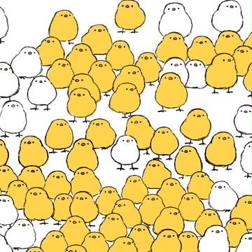 ひよこと文鳥さん