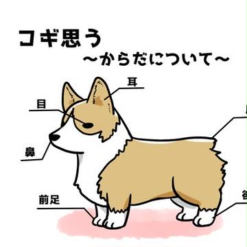 コギ思う~からだについて~