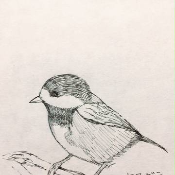 ヤマガラさん