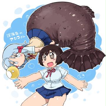 アンコと若狭