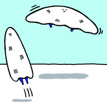 空飛ぶゆきこびと
