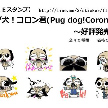 LINEスタンプ「パグ犬！コロン君」