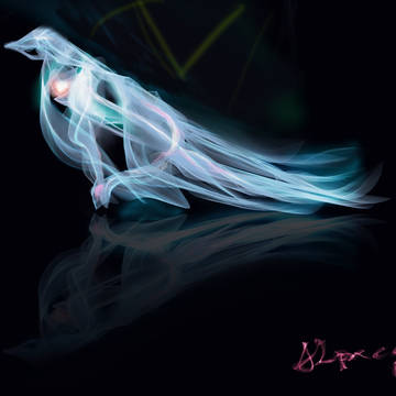 江雪左文字 鳥