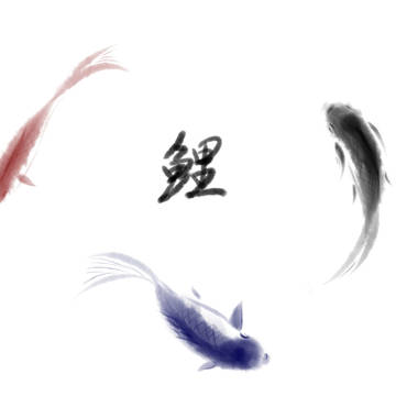 锦鲤
