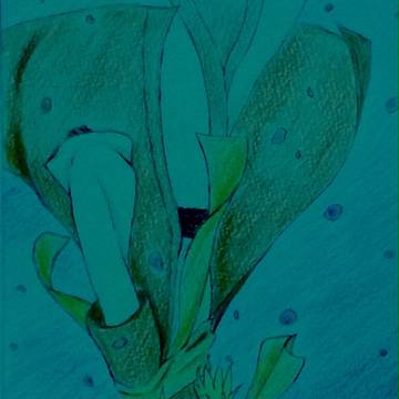暁のヨナ