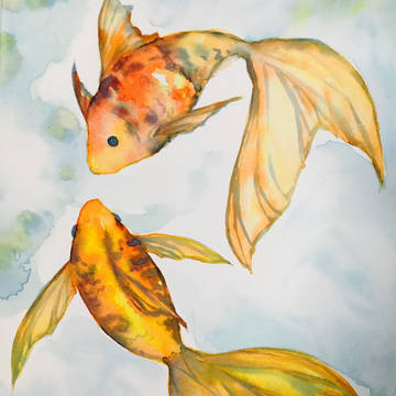 金魚③