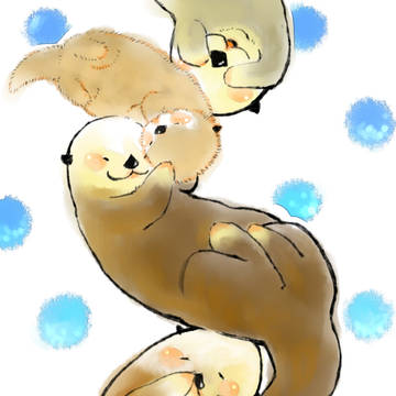 らっこここ♫